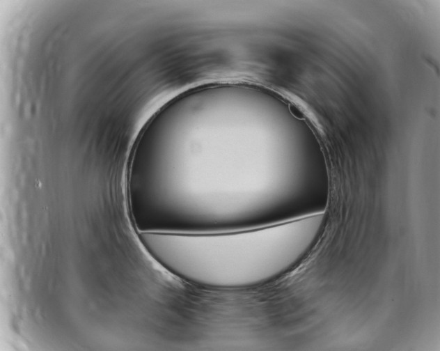 X0000096161343200801180843