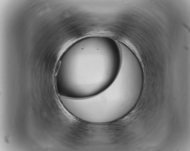 X0000096161344200801180843