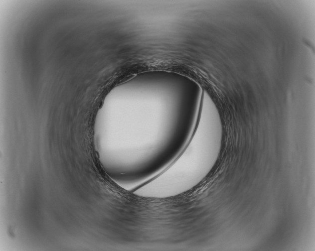 X0000096161345200801180842