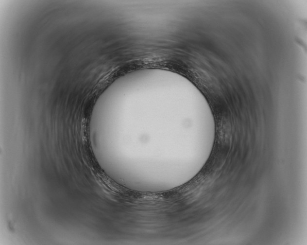 X0000096161346200801180842