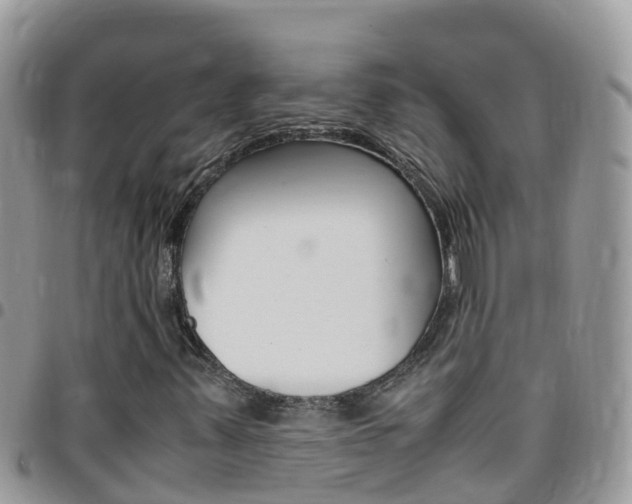 X0000096161347200801180842