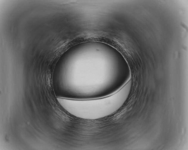 X0000096161348200801180842