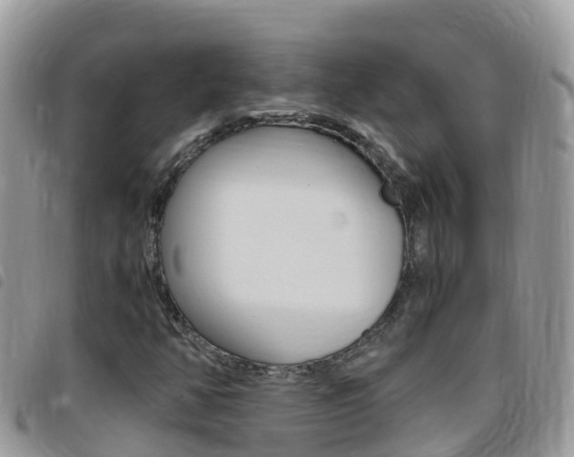 X0000096161350200801180842
