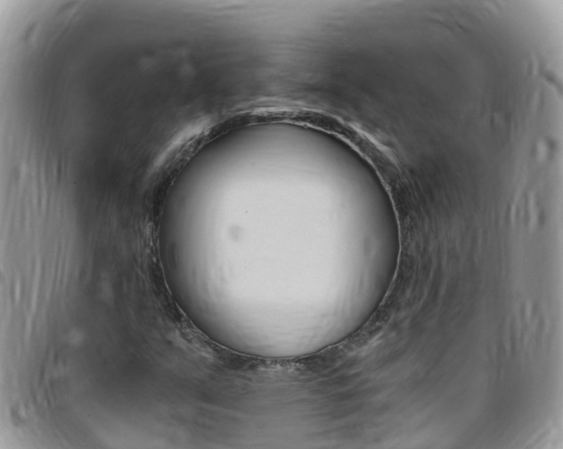 X0000096161351200801180842