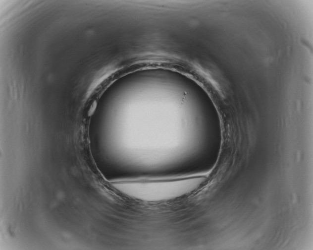 X0000096161352200801180842