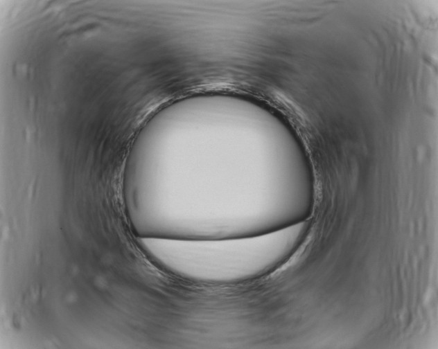 X0000096161353200801180842