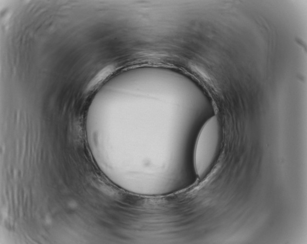 X0000096161354200801180842