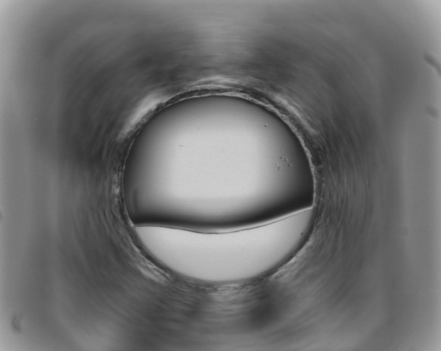 X0000096161355200801180842