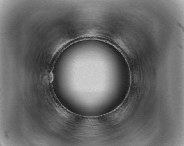 X0000096161356200801180842