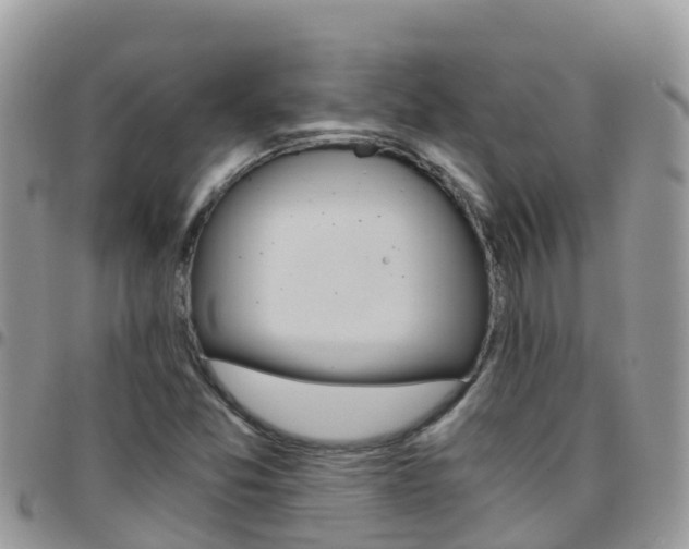 X0000096161357200801180842
