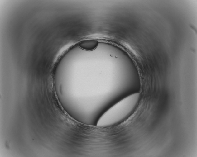 X0000096161358200801180842