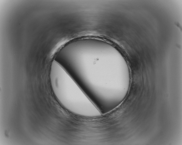 X0000096161359200801180842