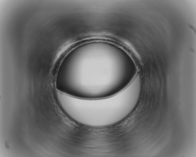 X0000096161360200801180842