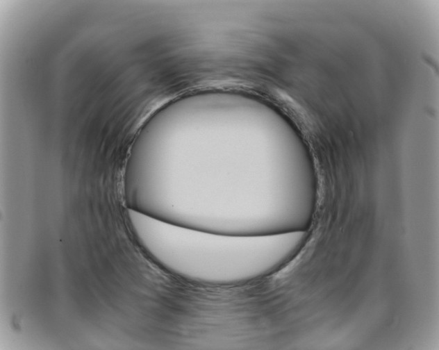 X0000096161361200801180842