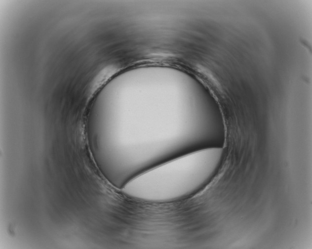 X0000096161362200801180842