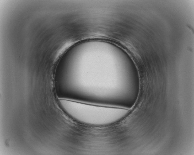X0000096161363200801180842