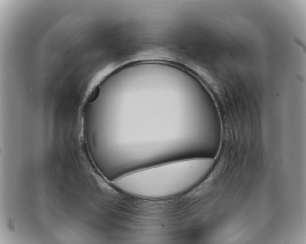 X0000096161366200801180842