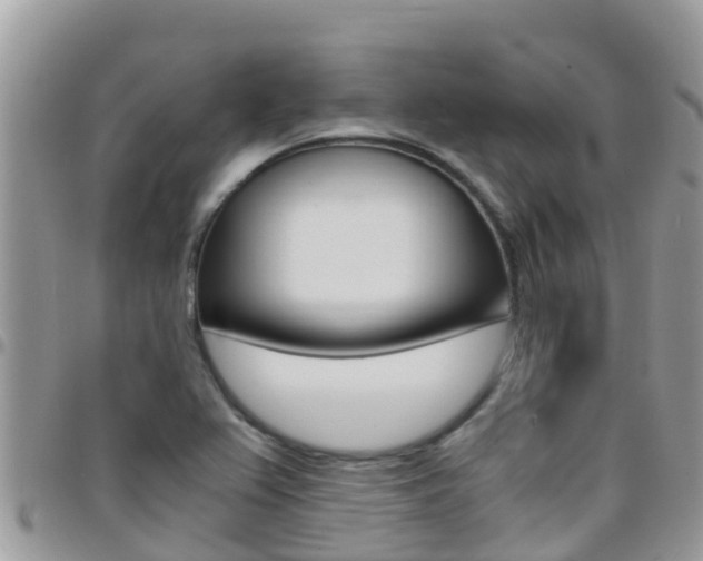 X0000096161367200801180842