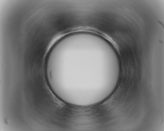 X0000096161368200801180842