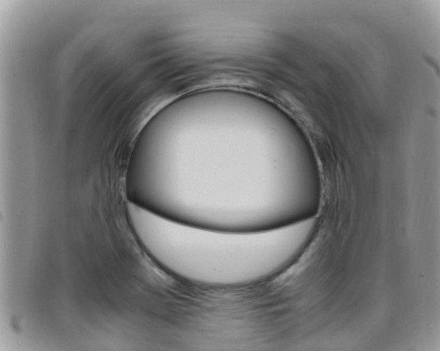 X0000096161369200801180842