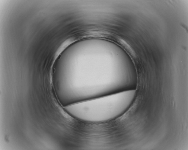 X0000096161370200801180842