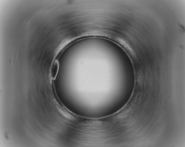 X0000096161372200801180842