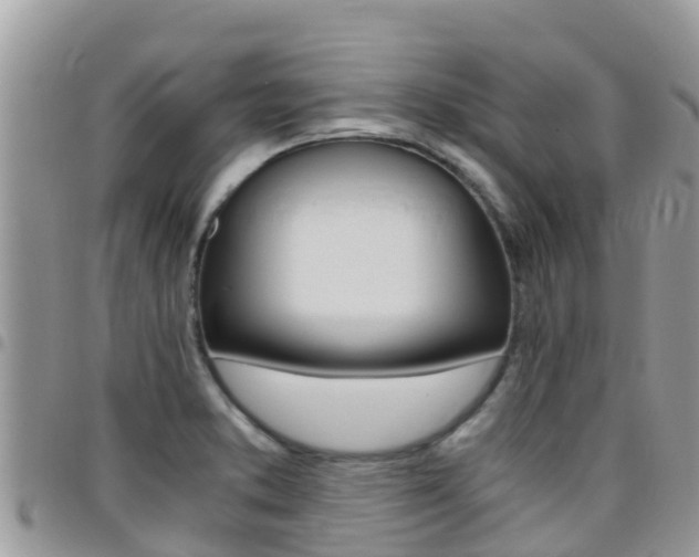 X0000096161373200801180842