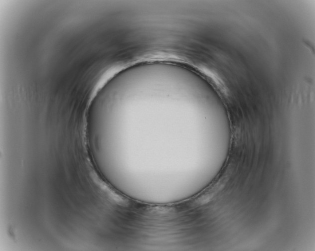 X0000096161374200801180842