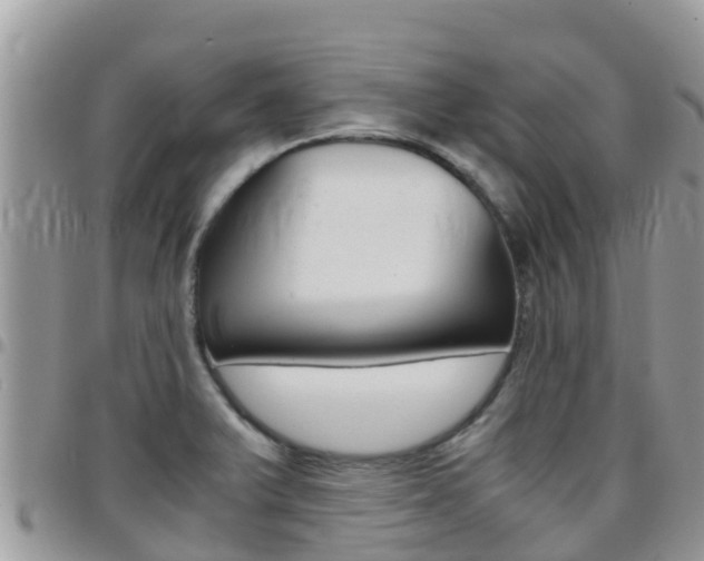 X0000096161375200801180842