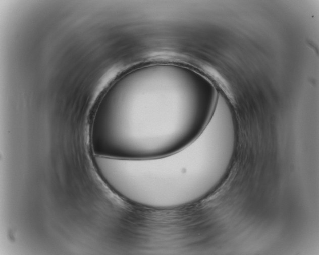 X0000096161376200801180842