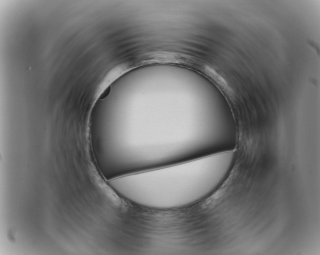 X0000096161378200801180842