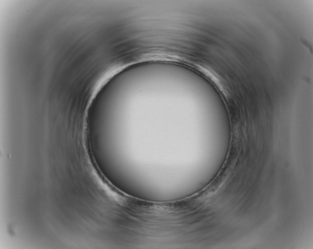 X0000096161379200801180842