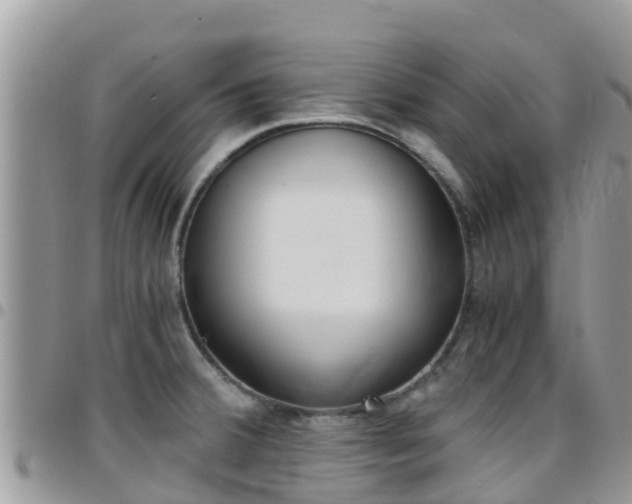X0000096161380200801180842