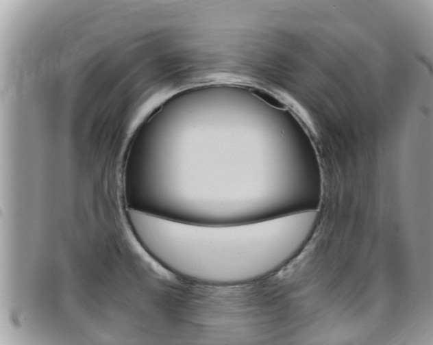 X0000096161381200801180842