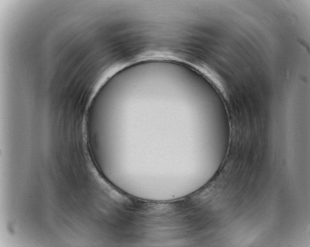 X0000096161382200801180842