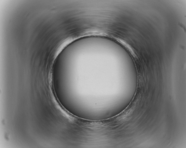 X0000096161383200801180842