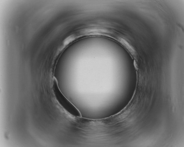 X0000096161384200801180842
