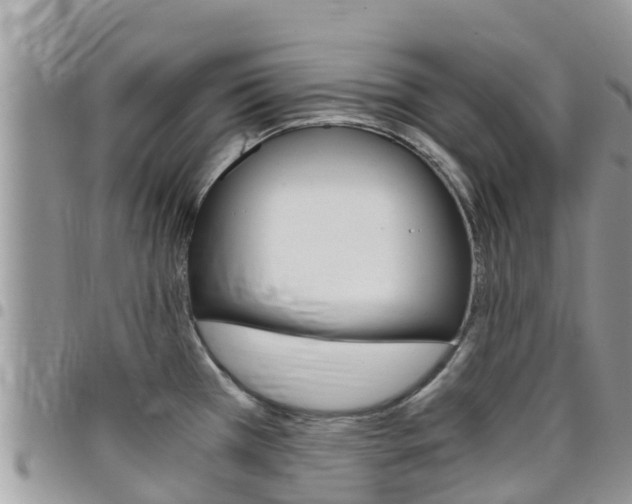 X0000096161385200801180842