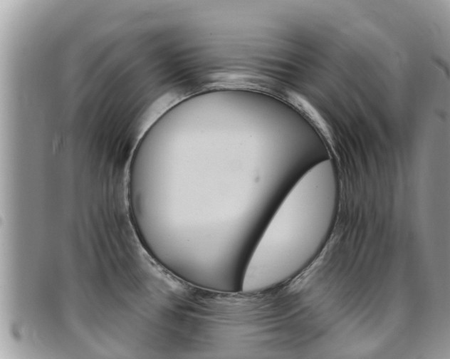 X0000096161386200801180842