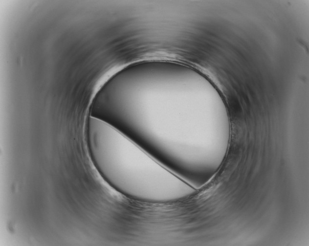 X0000096161387200801180841