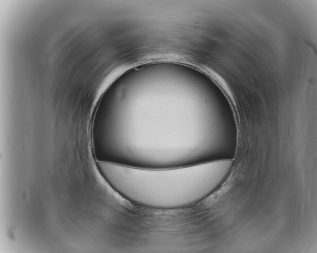 X0000096161389200801180841