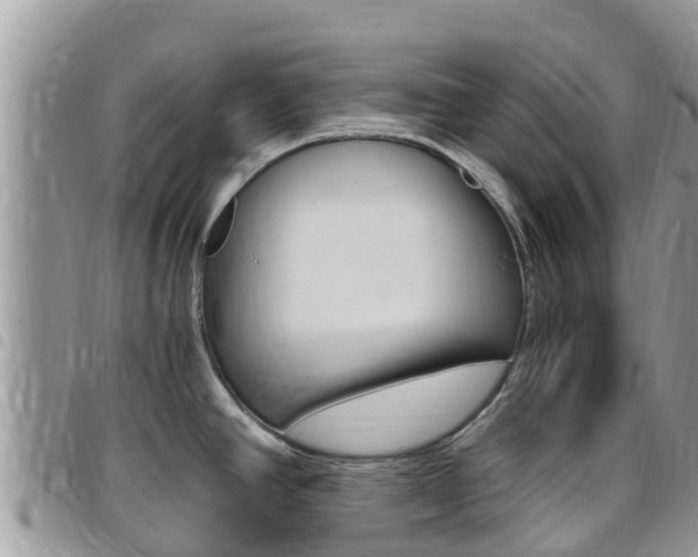X0000096161390200801180841