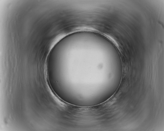 X0000096161391200801180841