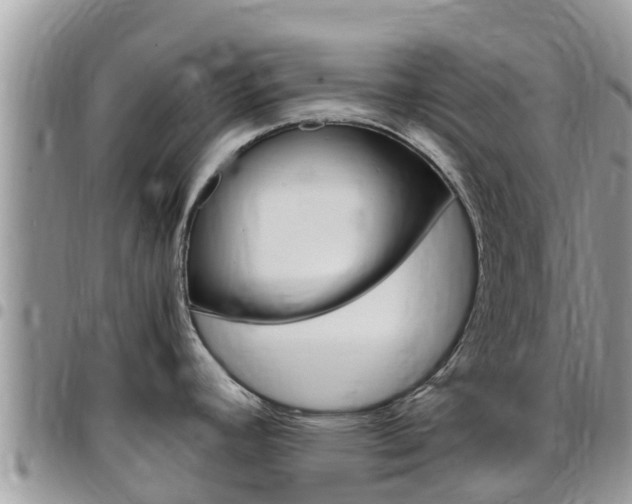 X0000096161392200801180841