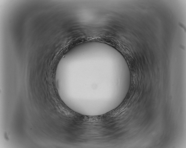 X0000096161393200801180841
