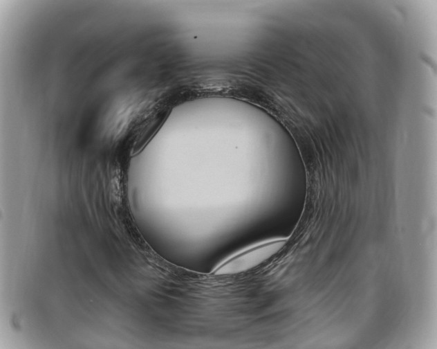 X0000096161394200801180841