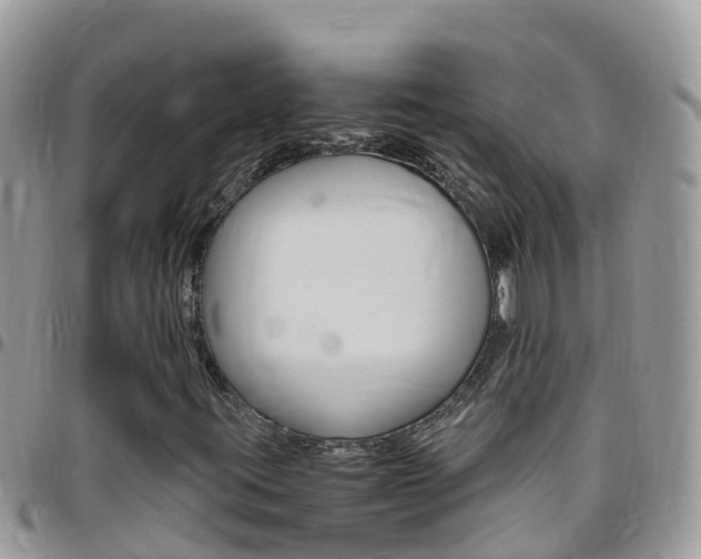 X0000096161395200801180841