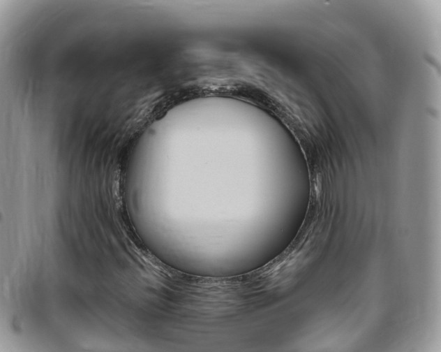 X0000096161396200801180841