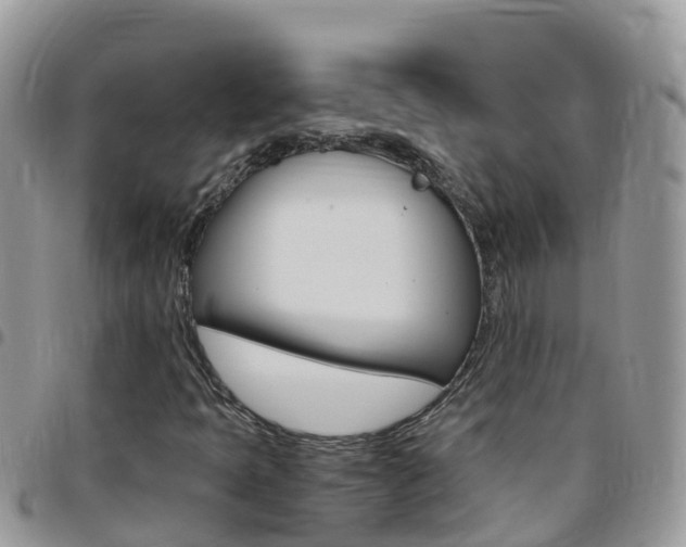 X0000096161397200801180841