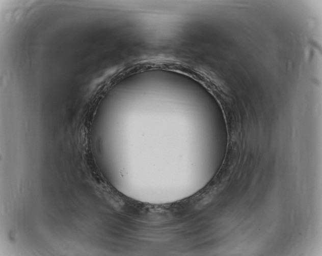 X0000096161398200801180841